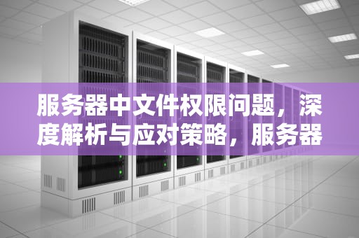 服务器中文件权限问题，深度解析与应对策略，服务器中文件权限问题怎么解决