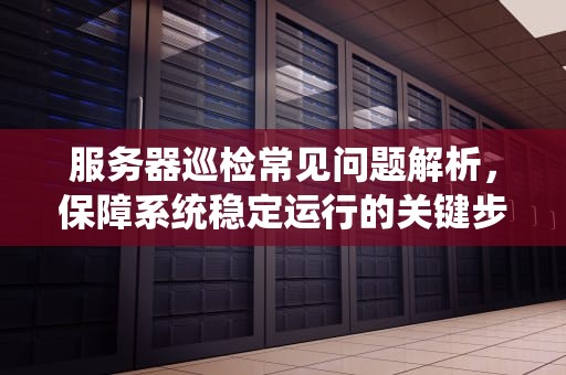 服务器巡检常见问题解析，保障系统稳定运行的关键步骤，服务器巡检常见问题有哪些
