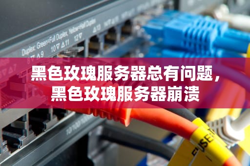 黑色玫瑰服务器总有问题，黑色玫瑰服务器崩溃