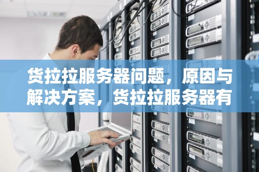 货拉拉服务器问题，原因与解决方案，货拉拉服务器有问题怎么办