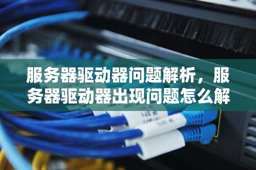 服务器驱动器问题解析，服务器驱动器出现问题怎么解决