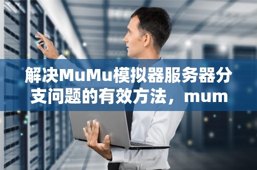 解决MuMu模拟器服务器分支问题的有效方法，mumu模拟器地址