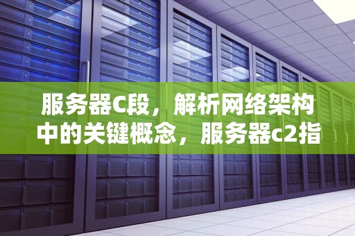 服务器C段，解析网络架构中的关键概念，服务器c2指什么意思