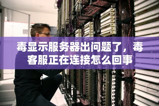毒显示服务器出问题了，毒客服正在连接怎么回事
