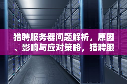 猎聘服务器问题解析，原因、影响与应对策略，猎聘服务器出问题了怎么办