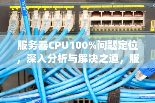 服务器CPU100%问题定位，深入分析与解决之道，服务器cpu100%如何解决