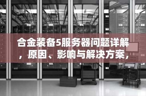 合金装备5服务器问题详解，原因、影响与解决方案，合金装备5 服务器