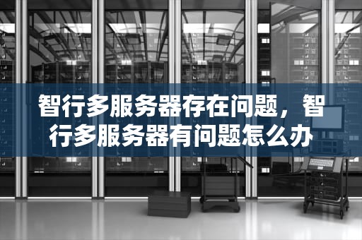 智行多服务器存在问题，智行多服务器有问题怎么办