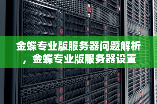 金蝶专业版服务器问题解析，金蝶专业版服务器设置