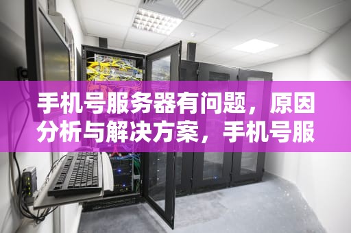 手机号服务器有问题，原因分析与解决方案，手机号服务器有问题怎么办