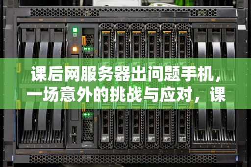 课后网服务器出问题手机，一场意外的挑战与应对，课后网服务器错误