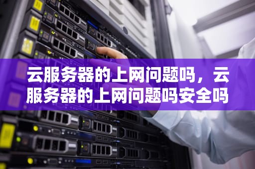 云服务器的上网问题吗，云服务器的上网问题吗安全吗