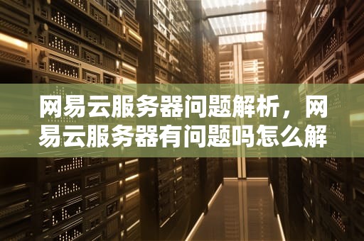网易云服务器问题解析，网易云服务器有问题吗怎么解决