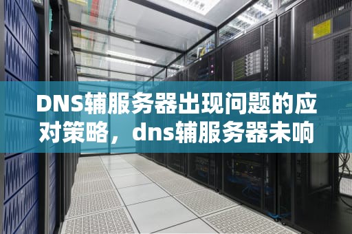 DNS辅服务器出现问题的应对策略，dns辅服务器未响应怎么解决