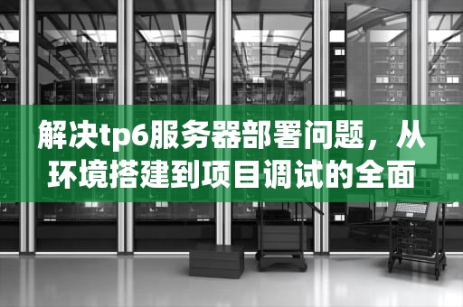 解决tp6服务器部署问题，从环境搭建到项目调试的全面指南，tp6 service