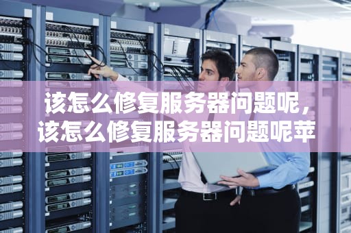该怎么修复服务器问题呢，该怎么修复服务器问题呢苹果