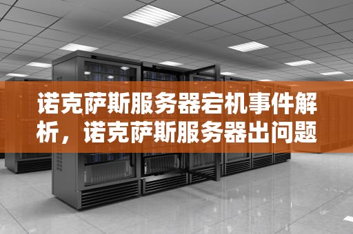 诺克萨斯服务器宕机事件解析，诺克萨斯服务器出问题了吗