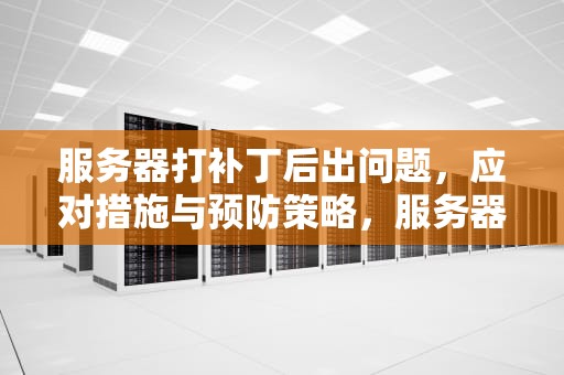 服务器打补丁后出问题，应对措施与预防策略，服务器打补丁后出问题怎么办
