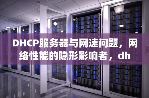 DHCP服务器与网速问题，网络性能的隐形影响者，dhcp服务器有关网速问题吗怎么解决