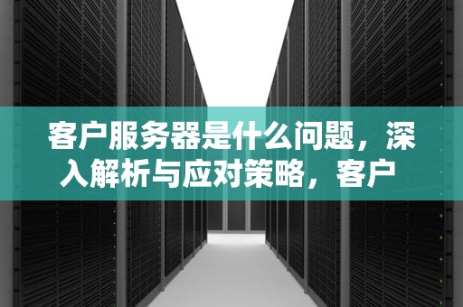 客户服务器是什么问题，深入解析与应对策略，客户 服务器是什么问题啊