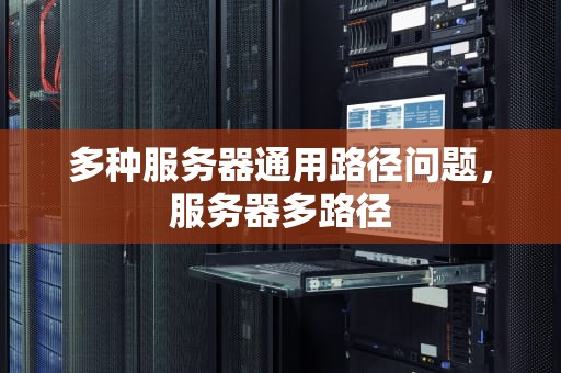 多种服务器通用路径问题，服务器多路径