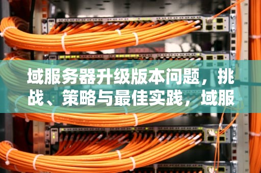 域服务器升级版本问题，挑战、策略与最佳实践，域服务器迁移升级