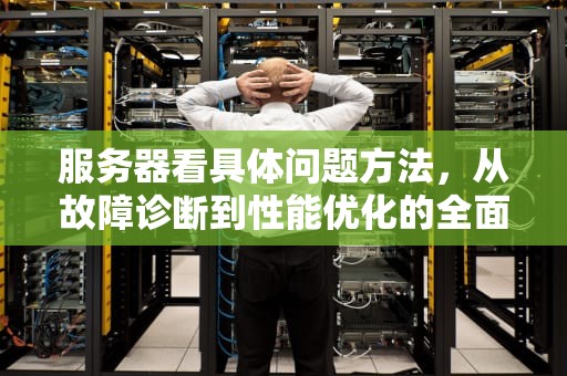 服务器看具体问题方法，从故障诊断到性能优化的全面指南，服务器看具体问题方法有哪些