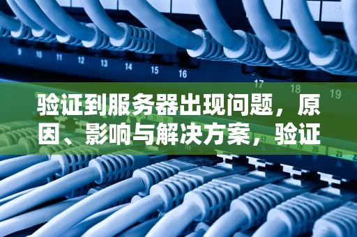 验证到服务器出现问题，原因、影响与解决方案，验证到服务器出现问题怎么办