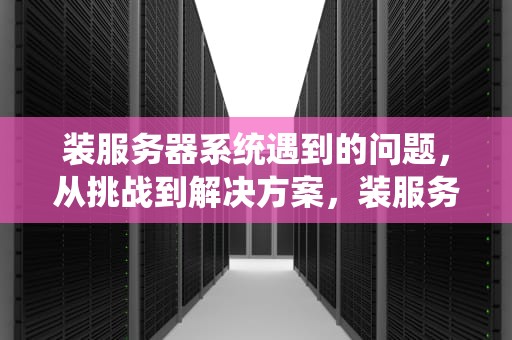 装服务器系统遇到的问题，从挑战到解决方案，装服务器系统遇到的问题有哪些