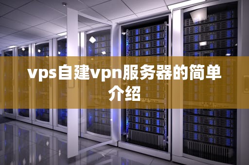 vps自建vpn服务器的简单介绍