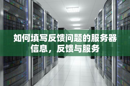 如何填写反馈问题的服务器信息，反馈与服务