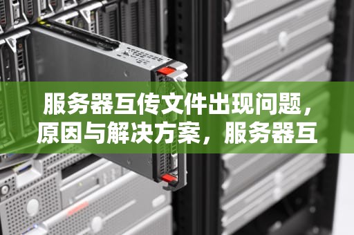 服务器互传文件出现问题，原因与解决方案，服务器互传文件出现问题怎么解决