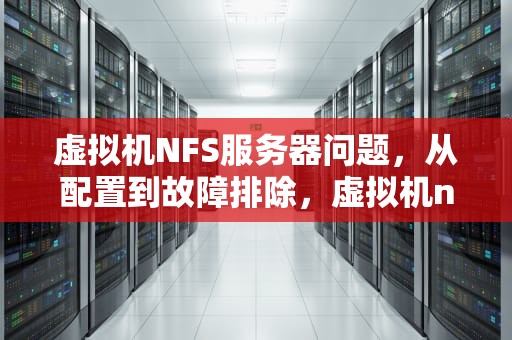 虚拟机NFS服务器问题，从配置到故障排除，虚拟机nfs配置