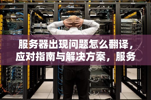 服务器出现问题怎么翻译，应对指南与解决方案，服务器出现问题怎么翻译成英文