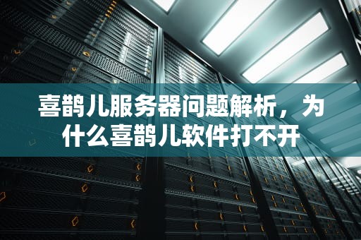 喜鹊儿服务器问题解析，为什么喜鹊儿软件打不开