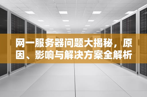 网一服务器问题大揭秘，原因、影响与解决方案全解析，网络服务器有问题怎么办?