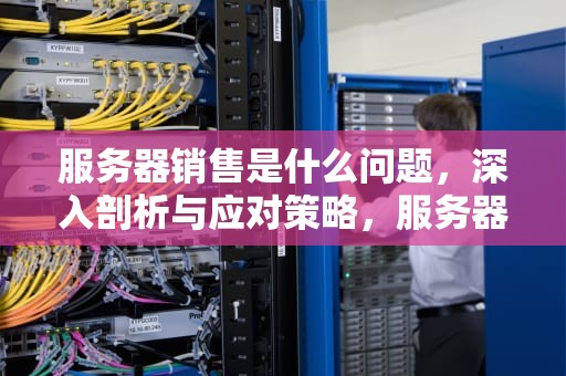 服务器销售是什么问题，深入剖析与应对策略，服务器销售是什么问题类型