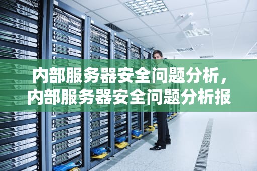 内部服务器安全问题分析，内部服务器安全问题分析报告