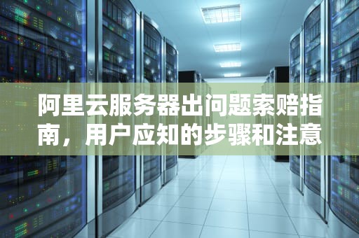 阿里云服务器出问题索赔指南，用户应知的步骤和注意事项，阿里云服务器出问题索赔多少