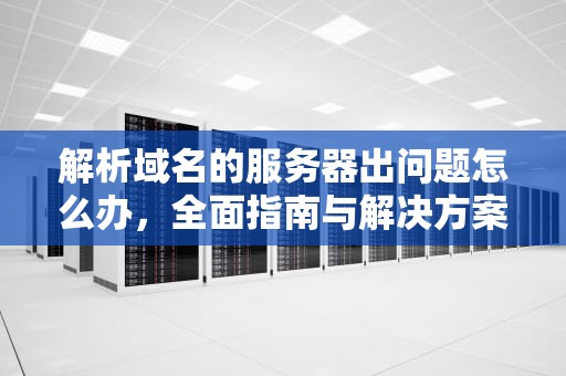解析域名的服务器出问题怎么办，全面指南与解决方案，解析域名的服务器出问题怎么解决