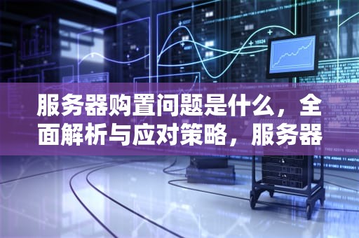 服务器购置问题是什么，全面解析与应对策略，服务器购置问题是什么意思