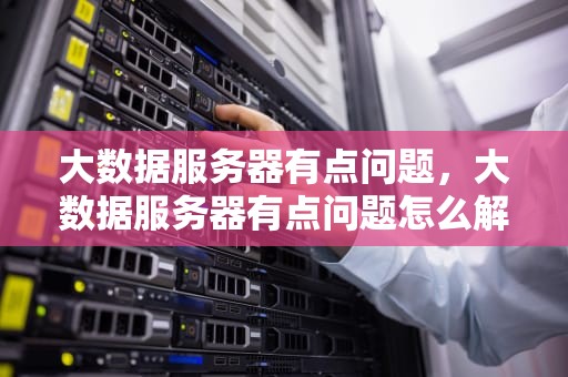 大数据服务器有点问题，大数据服务器有点问题怎么解决