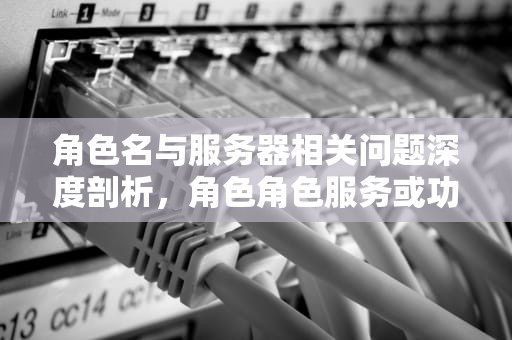 角色名与服务器相关问题深度剖析，角色角色服务或功能名称无效
