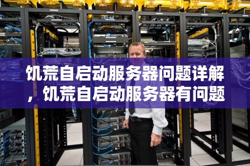 饥荒自启动服务器问题详解，饥荒自启动服务器有问题怎么解决