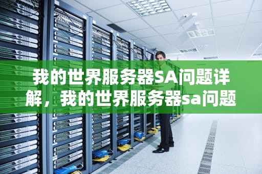 我的世界服务器SA问题详解，我的世界服务器sa问题是什么