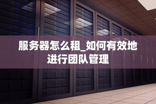 服务器怎么租_如何有效地进行团队管理