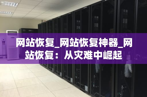 网站恢复_网站恢复神器_网站恢复：从灾难中崛起