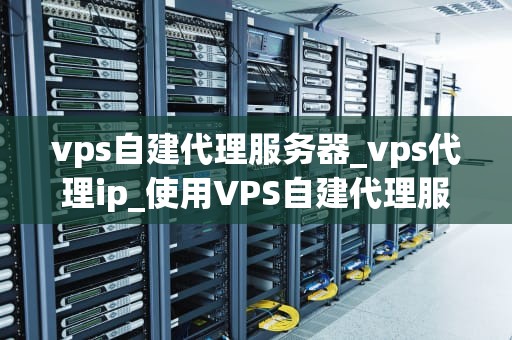 vps自建代理服务器_vps代理ip_使用VPS自建代理服务器的全面指南