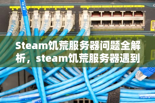 Steam饥荒服务器问题全解析，steam饥荒服务器遇到一些问题怎么解决