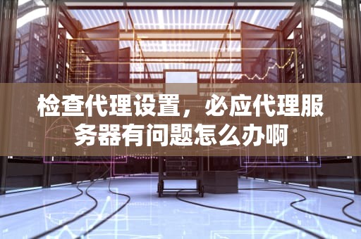检查代理设置，必应代理服务器有问题怎么办啊